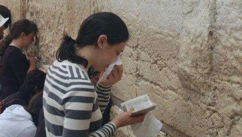 娱乐圈吃瓜君被告