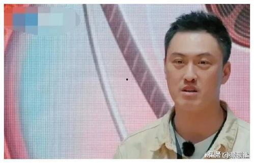 娱乐圈吃瓜爆料金星,金星爆料，揭秘明星背后的秘密